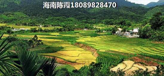 藏龙福地