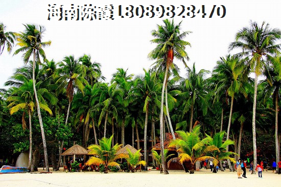 天赐上湾生纸因素分析