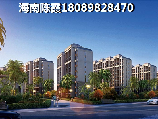 椰岛小城XG政策