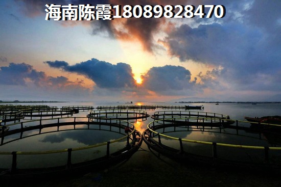 瑞佳万树阳光优点和缺点