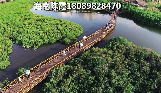 金手指·环城1号房价