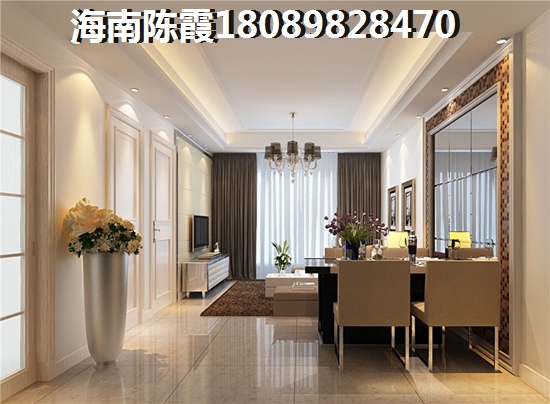 澄迈海南·金城帝景广场楼盘点评
