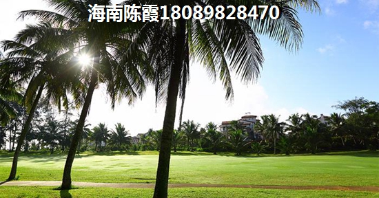 海南·金城帝景广场如何