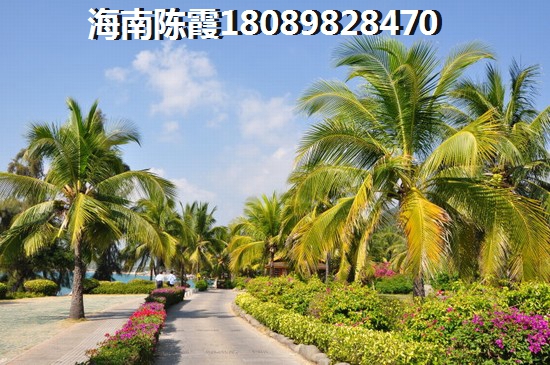 新香缇假日房价