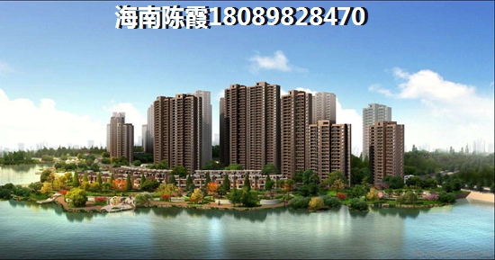 美鳌城海景房