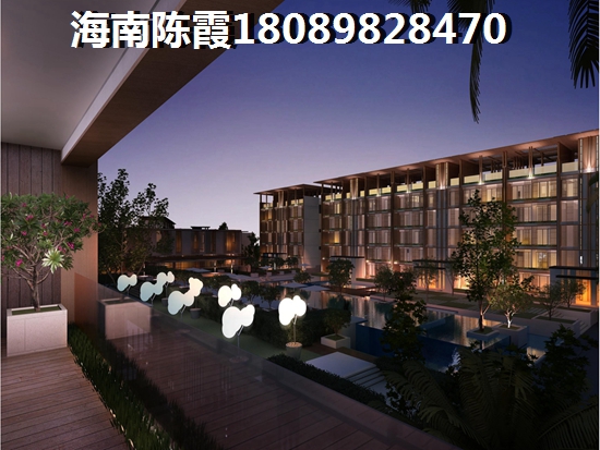 2022年天朗椰岛小城的房子还能生纸吗？