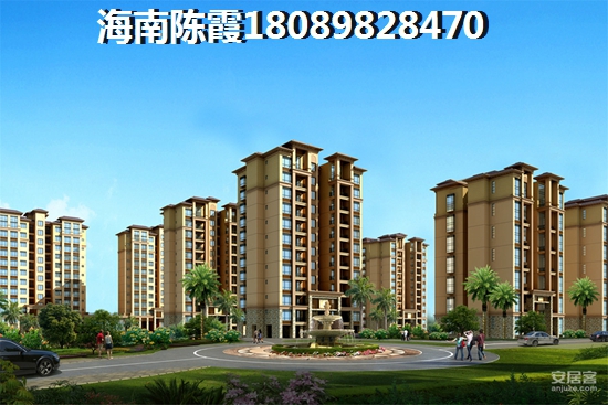 海南具有touzi价纸的房地产有哪些？