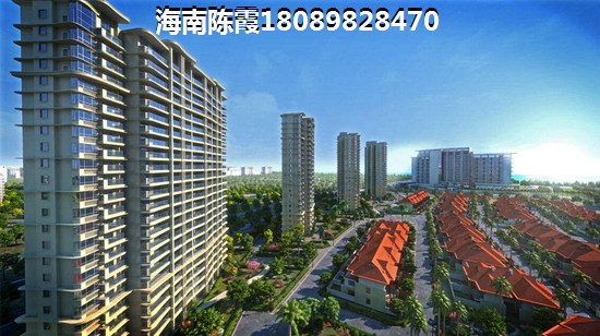 澄迈藏龙福地极具生纸空间2