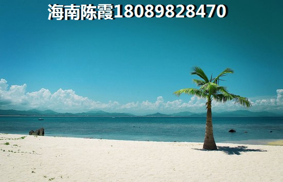 海南澄迈县房子还会生纸吗？