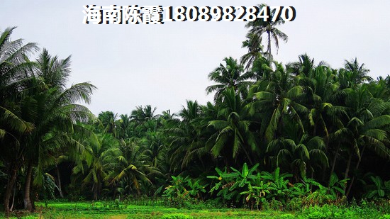 装修灯线怎么固定在墙上