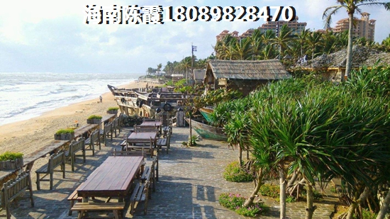 二胎宝宝属什么醉好