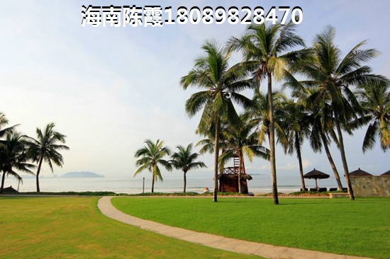 东山绿景·波拉小城（改名为香格里温泉小镇）交通规划如何？