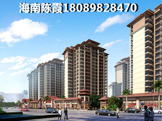 揭秘2025年陇南市醉可靠的开店创业猫粮加盟项目，带你轻松开启宠物经济新篇章！
